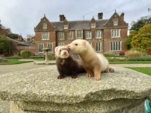 wells-house-and-gardens-animals