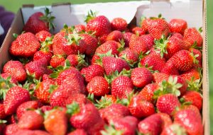 Wexford Strawberries