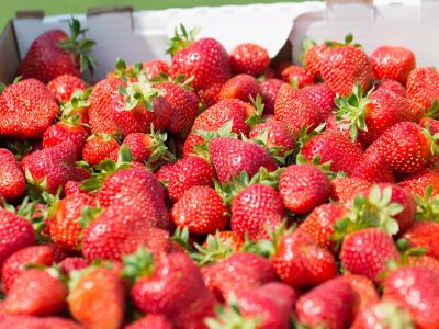 Wexford Strawberries